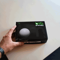 Titleist Pro V1X