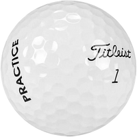 Titleist Pro V1/X PRACTICE (48-96 Bags)